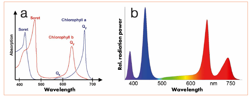 Bio-Effective Lighting for Humans, Livestock and Plants