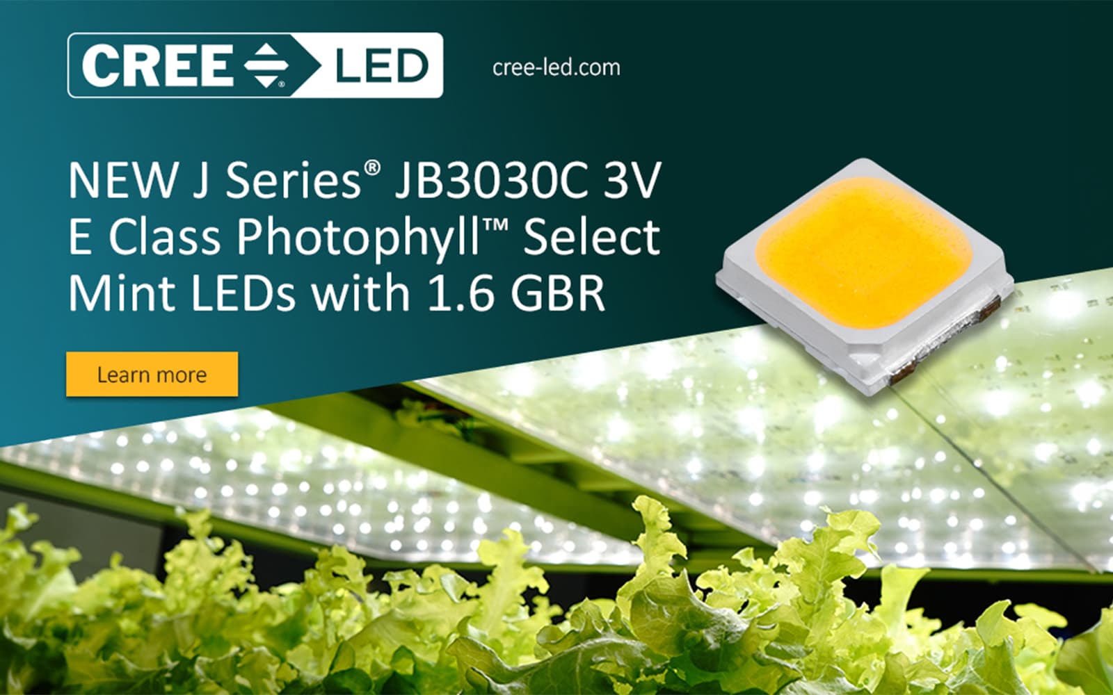 New Mint LEDs Deliver Horticulture-Optimized Drop-In Upgrade