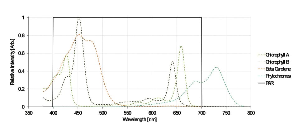 Enriching Horticultural Lighting for Faster Growth and Better Crops