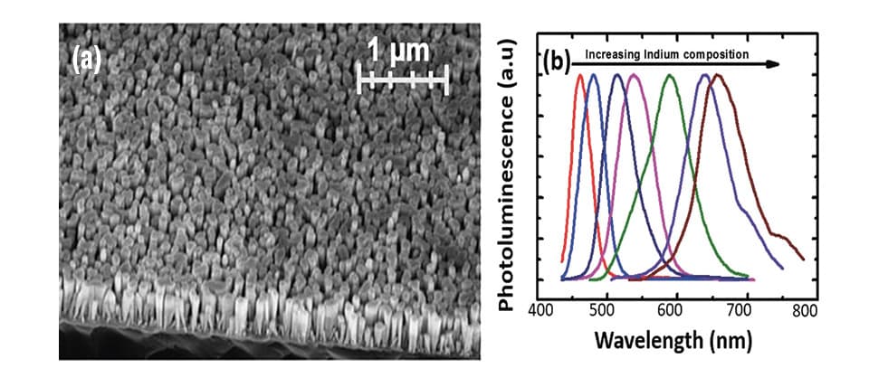 Full-Color InGaN/AlGaN Nanowire Light-Emitting Diodes for SSL and Displays