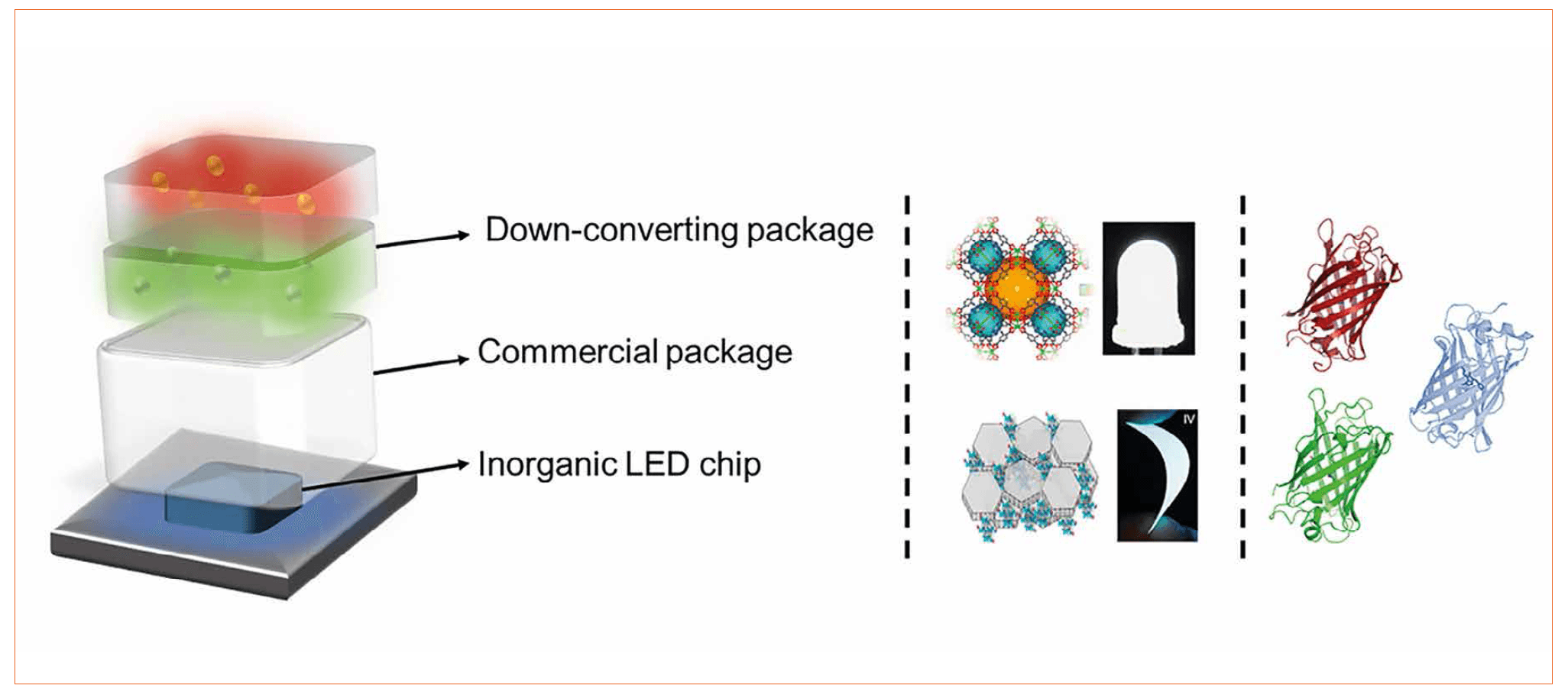 The Perspective of Bio-Hybrid White Light-Emitting Diodes Based on Rubber-Like Down- Converting Coatings