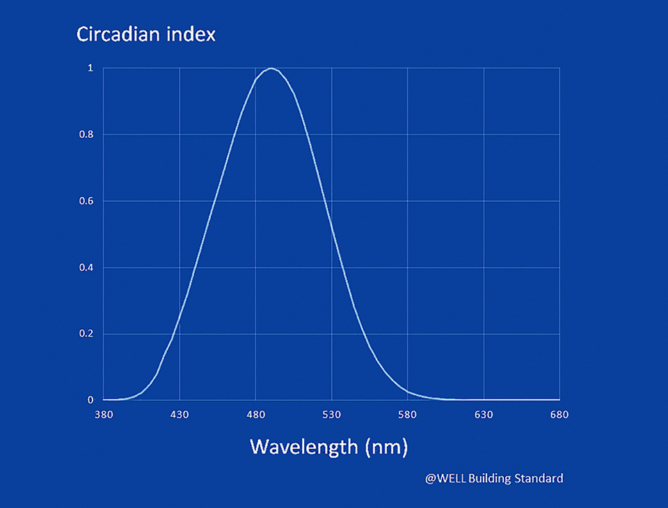 Adopting an LED More Suited to Circadian Entrainment