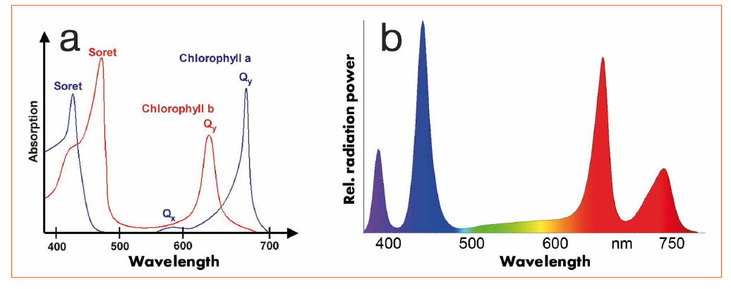 Bio-Effective Lighting for Humans, Livestock and Plants