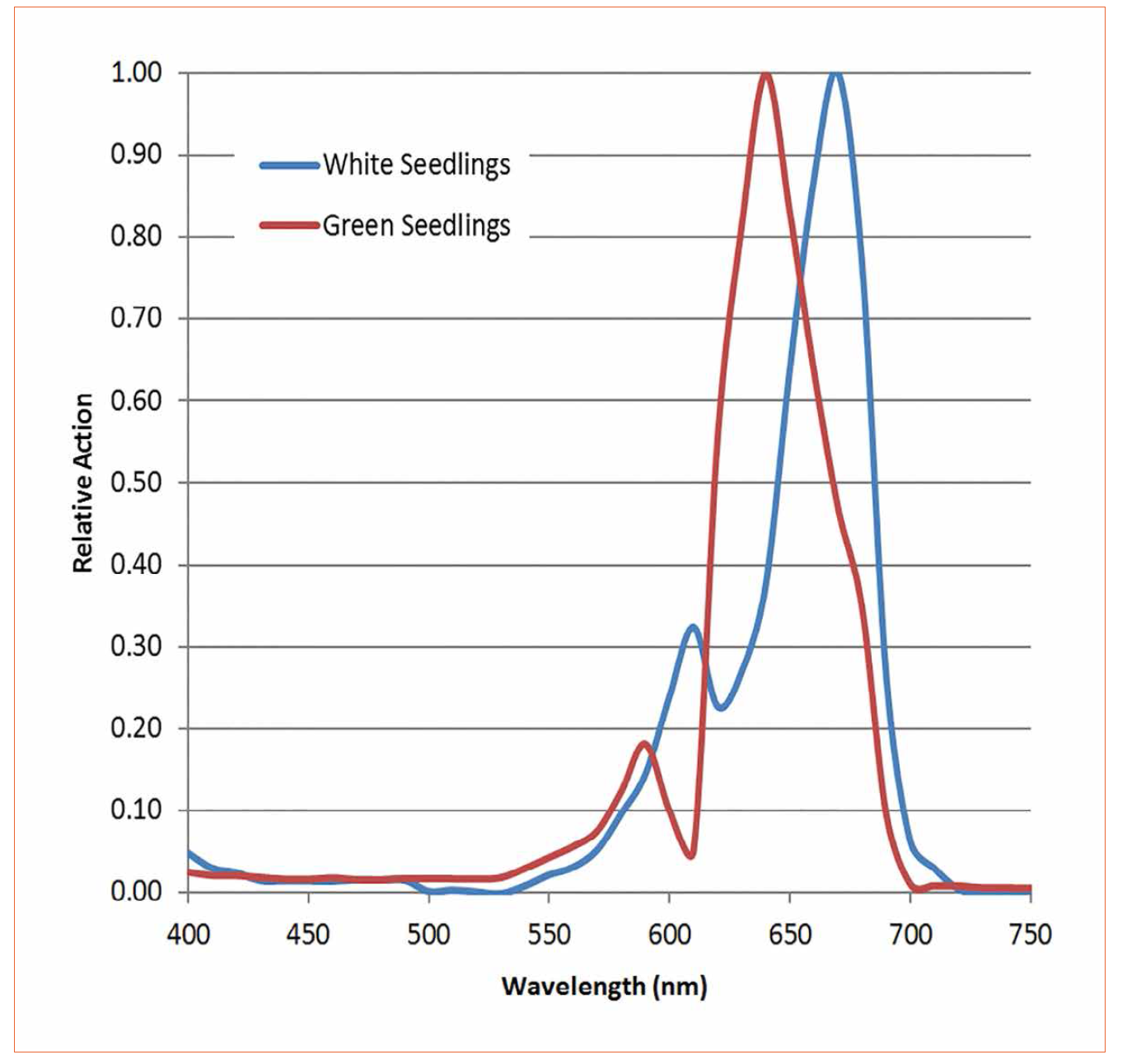 Botanical Light Pollution - Red is the New Blue