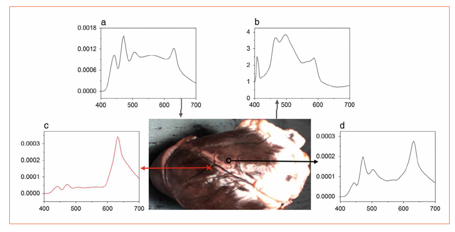 Challenges when Designing LED-Based Illumination Systems in Medical Applications and Diagnostics