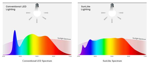 Enriched Light with Daylight-like Spectrum Improves Learning and Memory Function