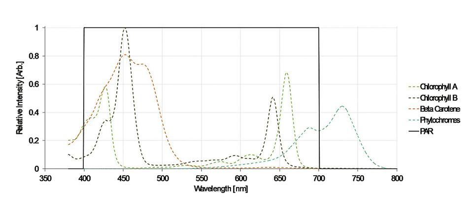 Enriching Horticultural Lighting for Faster Growth and Better Crops