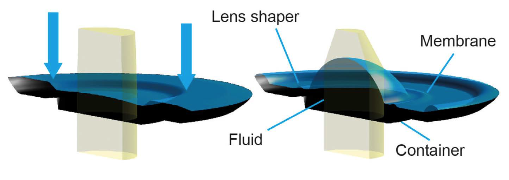 Focus Tunable Lenses for LED Lighting by Optotune AG
