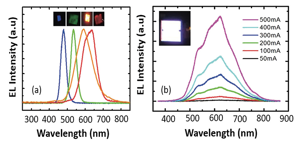Full-Color InGaN/AlGaN Nanowire Light-Emitting Diodes for SSL and Displays