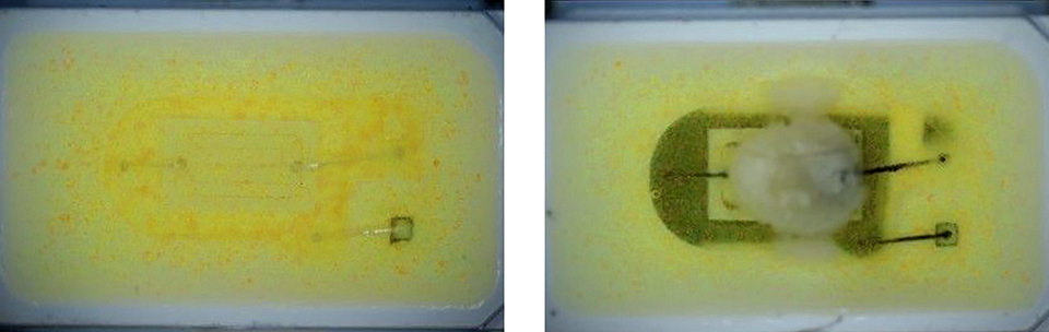 Hermetic Polymer-Free White LEDs for Harsh Environments