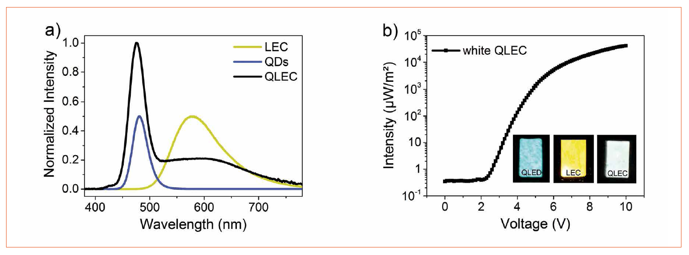 Hybrid Quantum Dot Light Emitting Electrochemical Cells