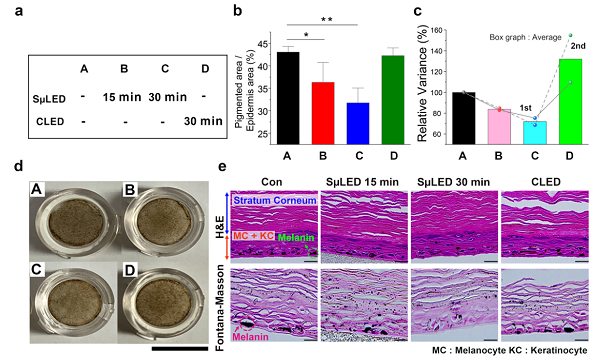 KAIST Team Develops Surface-Lighting MicroLED Patch with Significant Melanogenesis Inhibition Effect​
