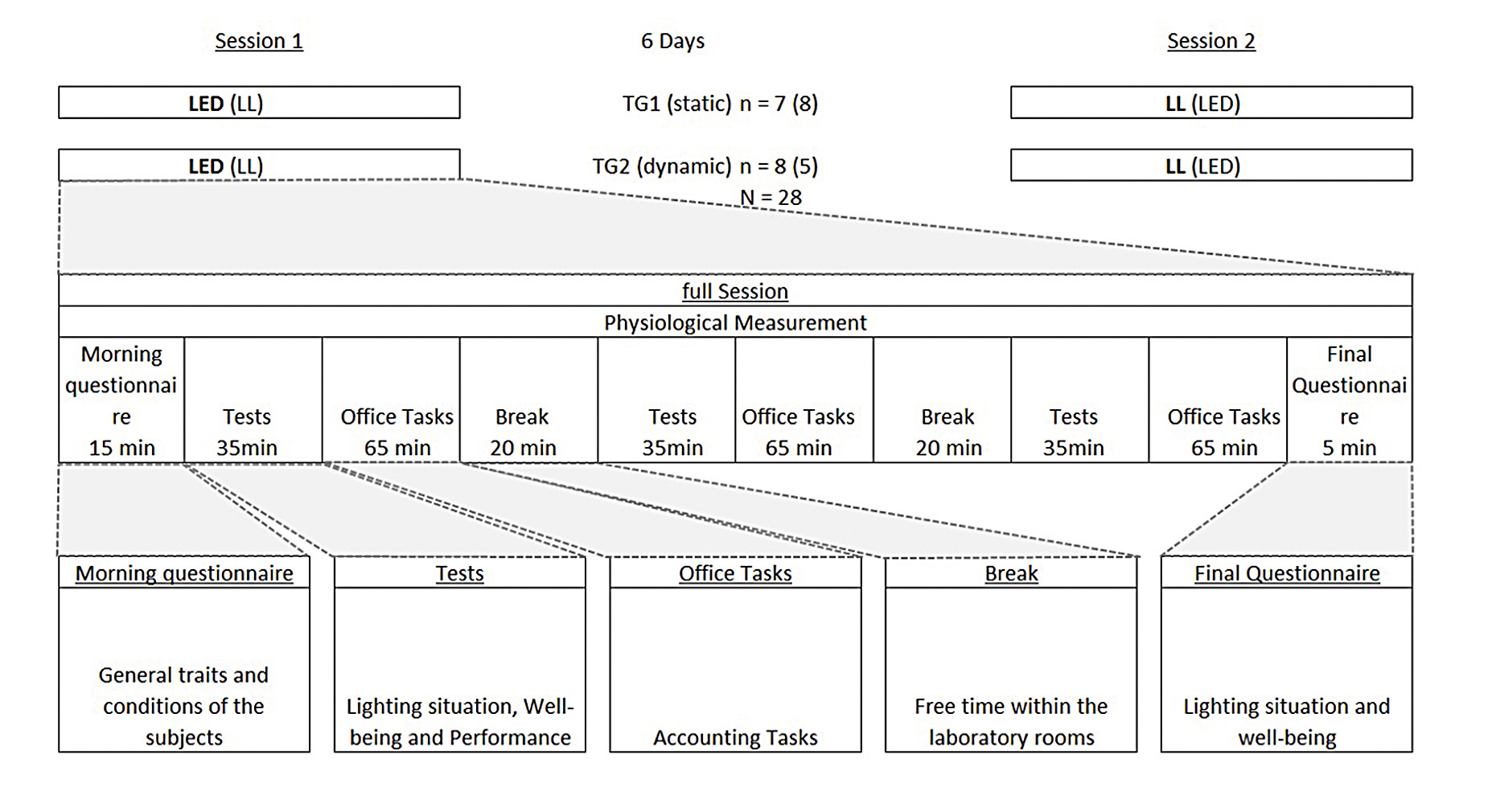 LED Office Lighting for Improved Well-Being and Performance