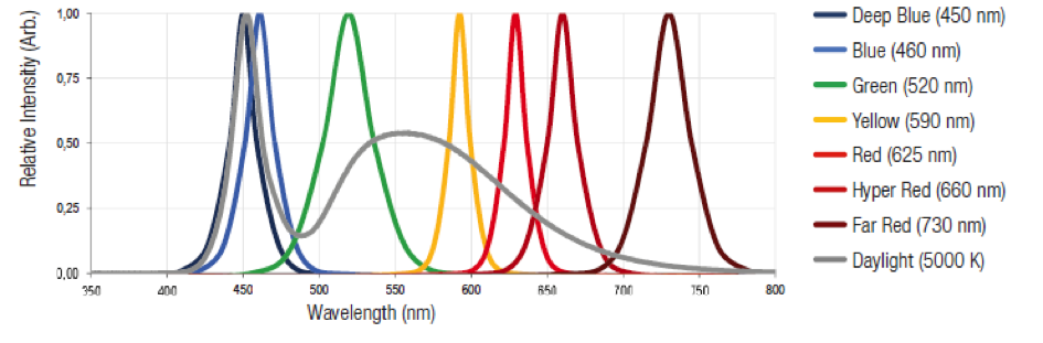 LEDs – The Future of Horticultural Lighting