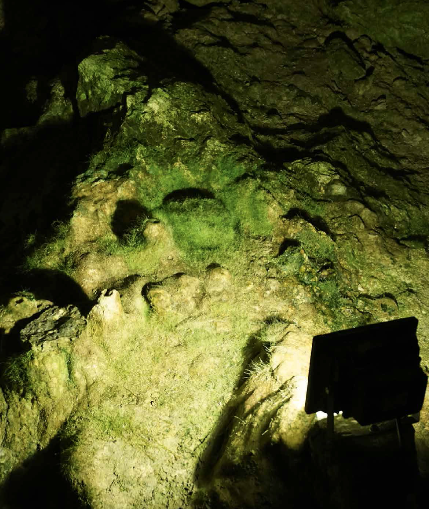 Technical Aspects Regarding the Equipment of Show Caves with Modern LED Systems