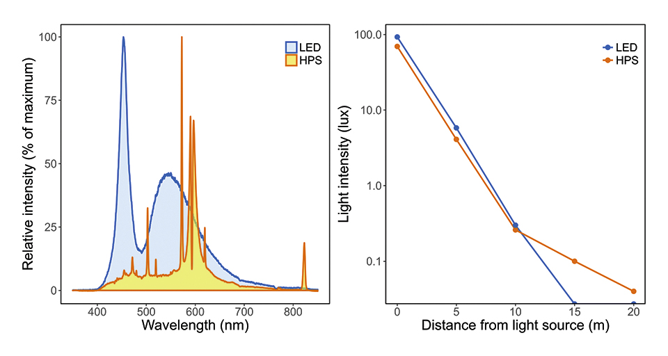 The Adverse Ecological Impacts of Light Pollution: LEDs' Role in Mitigation
