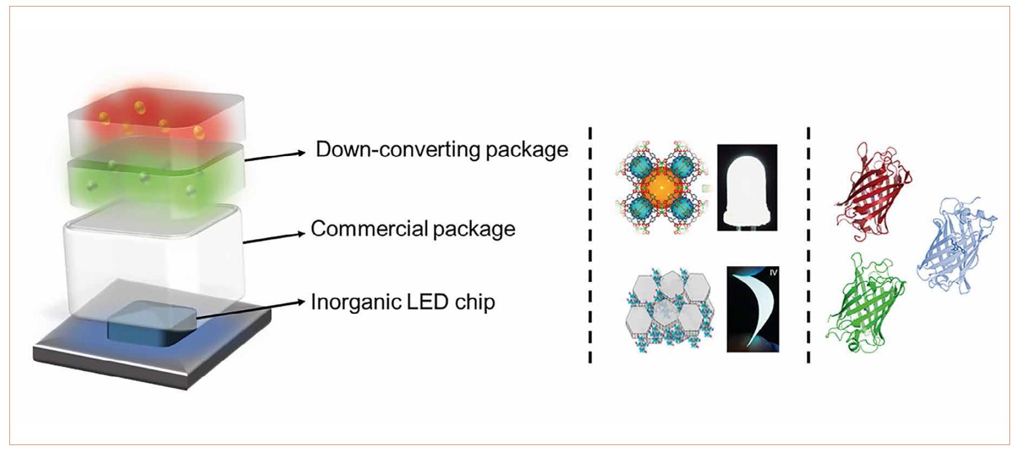 The Perspective of Bio-Hybrid White Light-Emitting Diodes Based on Rubber-Like Down- Converting Coatings