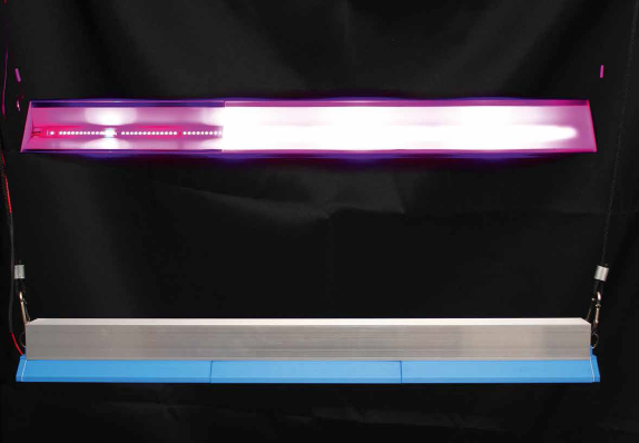 Trends in Horticulture Lighting