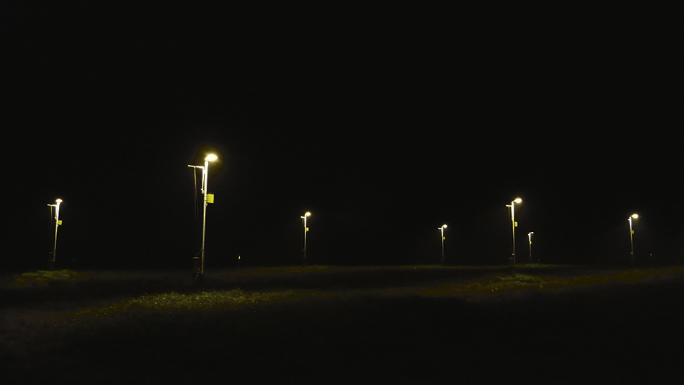 When Nights Are No Longer Dark: Effects of Artificial Light at Night on Agroecosystems
